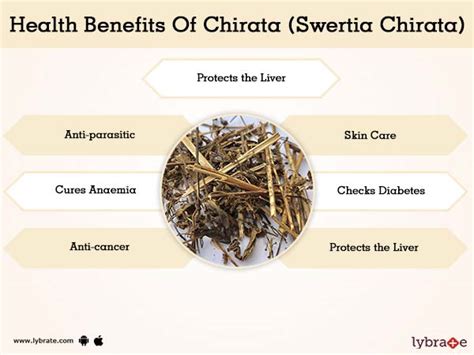 Chirata (Swertia Chirata) Benefits And Its Side Effects | Lybrate