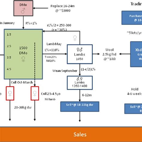 The flock structure showing the breeding flock and the trading lambs.... | Download Scientific ...