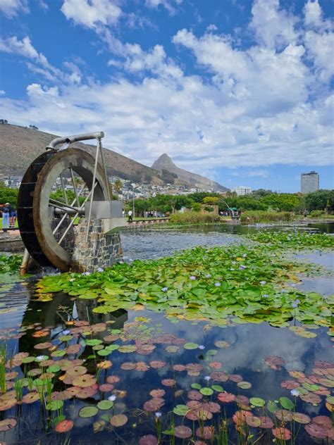 8 Reasons to Visit Green Point Park in Cape Town | Green Point Park | Wander Cape Town