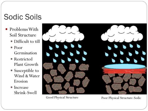 PPT - Acidity & Alkalinity PowerPoint Presentation - ID:1972605