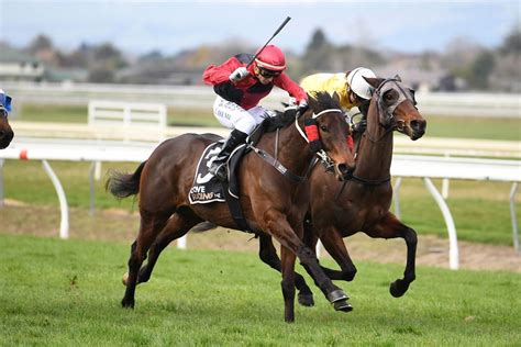 Charlie the horse to watch at Awapuni