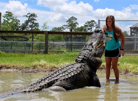 Texas A&M grad has jaw-dropping photo shoot with alligator - Good ...