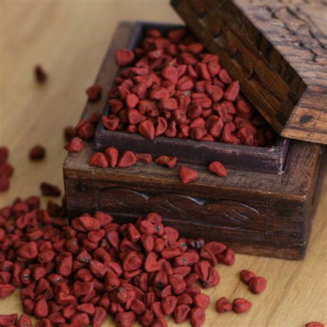 Annatto Seeds - The Silk Road Spice Merchant