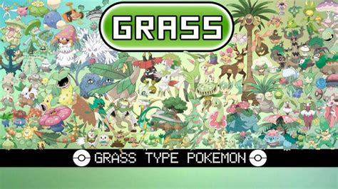 Grass Type | Wiki | Pokémon Amino