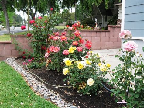 18 best images about Rose Garden on Pinterest | Gardens, Front yard ...