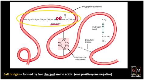 Side chain interactions and amino acids - Real Chemistry - YouTube