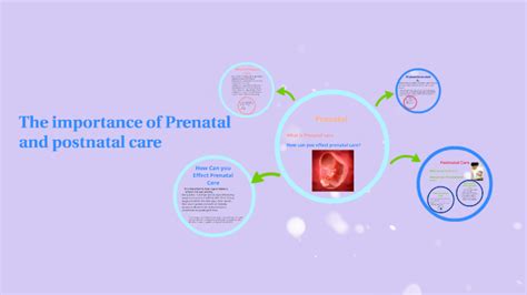 The importance of Prenatal and postnatal care by Kayley Dardano on Prezi