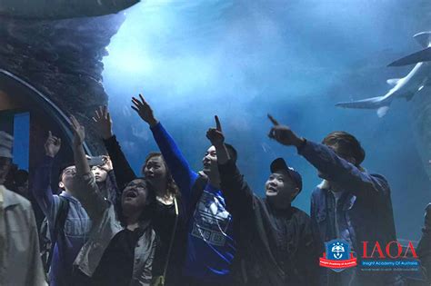 May Excursion - SEA LIFE Melbourne Aquarium | IAOA | Melbourne | Australia