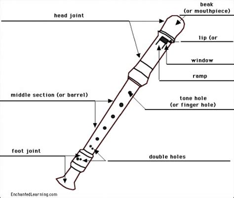 The Body - Mr. A's Recorder Lessons