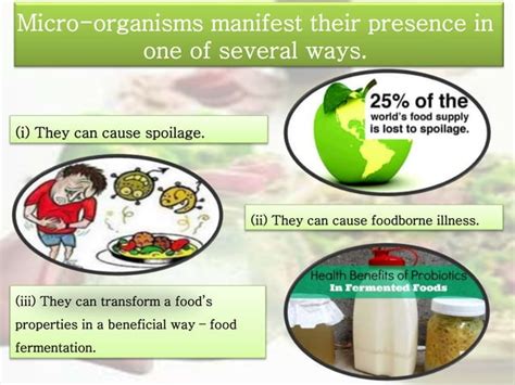 History of microorganisms in food | PPT