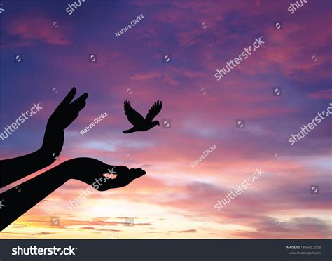 4,650 Released bird Images, Stock Photos & Vectors | Shutterstock