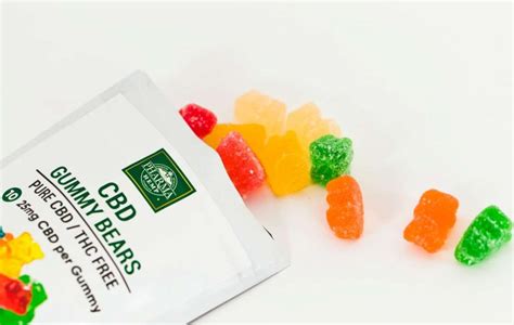 CBD Gummies vs Hemp Gummies: What’s the Difference? - Curious Mind Magazine