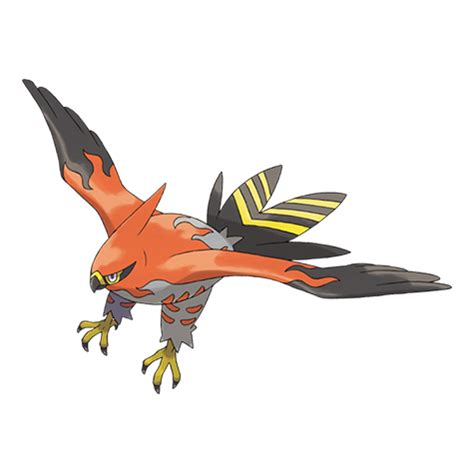 Talonflame | Pokédex