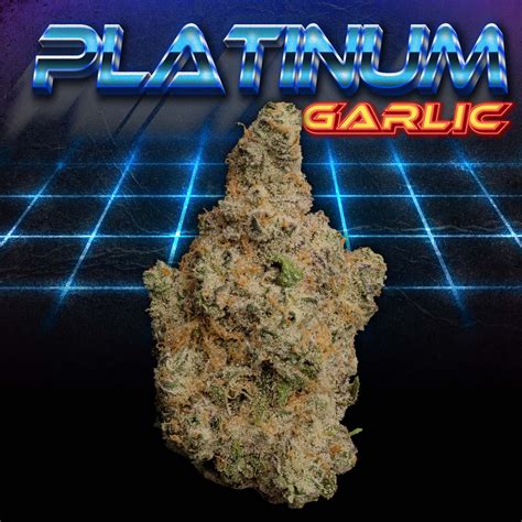 Platinum Garlic — AAA — Indica - OUT OF STOCK - ONLYGAS