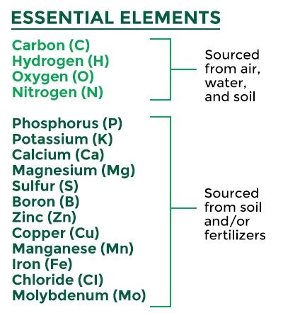 Know Your Nutrients: 16 Essential Elements - OMEX