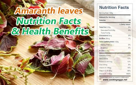 Amaranth Leaves Nutrition Facts & Health Benefits - CookingEggs