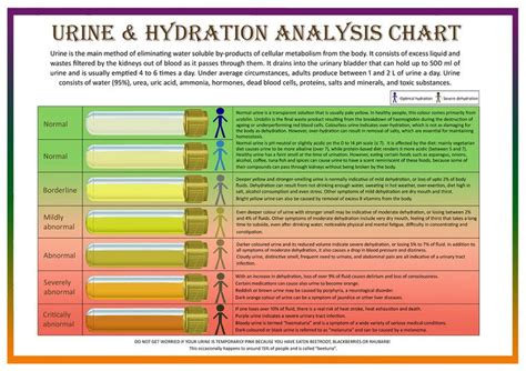 hydration chart - Yahoo Search Results Yahoo Image Search Results | Bristol stool chart, Health ...