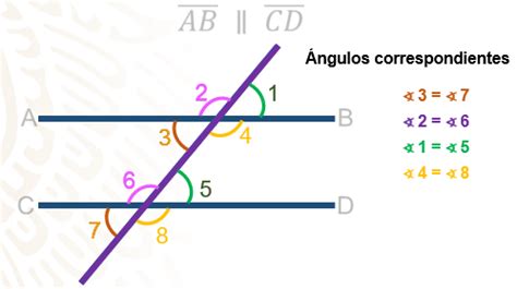 Rectas paralelas y ángulos - Nueva Escuela Mexicana Digital