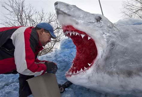 Snow Shark | Snow sculptures, Shark, Snow