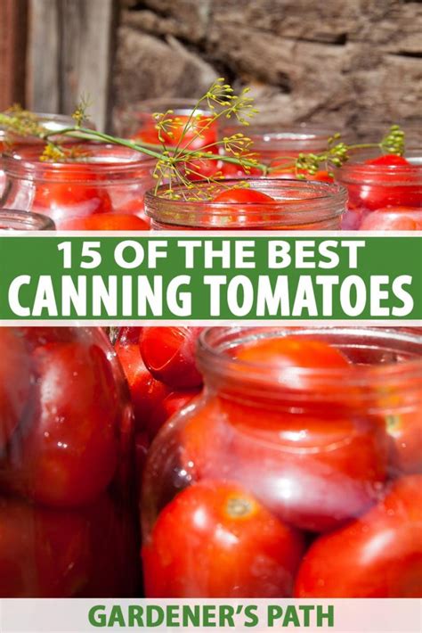 15 of the Best Canning Tomatoes You Should Grow