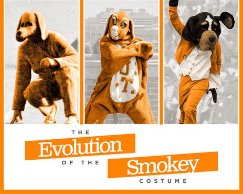 Evolution of Smokey Mascot Through the Years