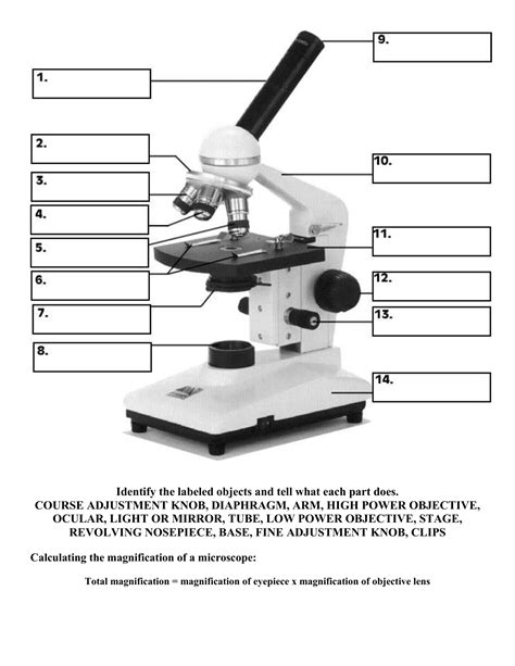 Microscope Parts and Functions