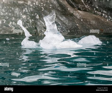 Growler iceberg in Liefdefjorden, Svalbard Islands, Norway Stock Photo - Alamy