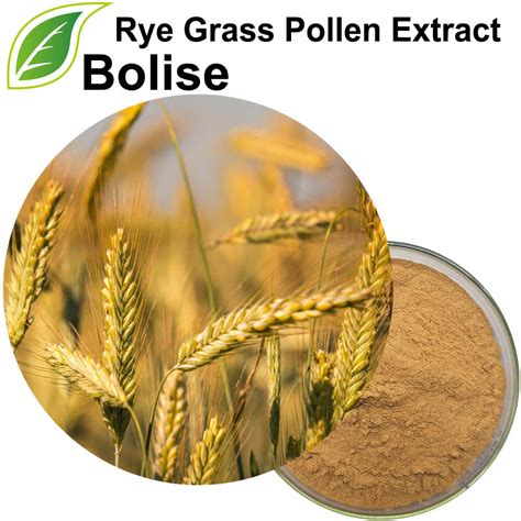 Buy Rye Grass Pollen Extract -Price,Supplier,Manufacturer from Bolise