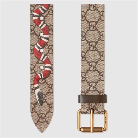 [W2] this Gucci snake belt I know Darcy and Nina both have it but I was wondering if there was ...