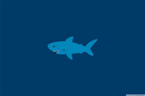 Shark Attack Wallpapers - Top Free Shark Attack Backgrounds ...