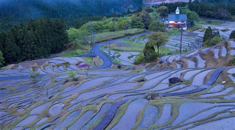 Eat Local in Mie Prefecture