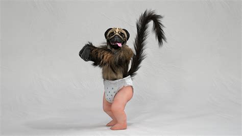 Puppymonkeybaby on Behance