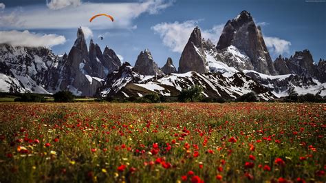 Flower Meadow And Mountains Wallpapers - Wallpaper Cave