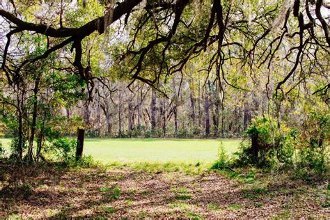 Best South Carolina State Parks