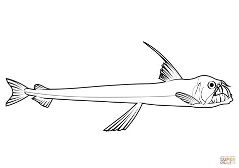 Sloanes Viperfish (Chauliodus Sloani) coloring page | Free Printable Coloring Pages