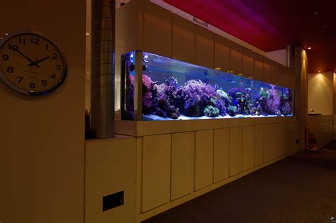 Aquarium Design, Manufacture, and Installation | AQUATIC DESIGN CENTRE