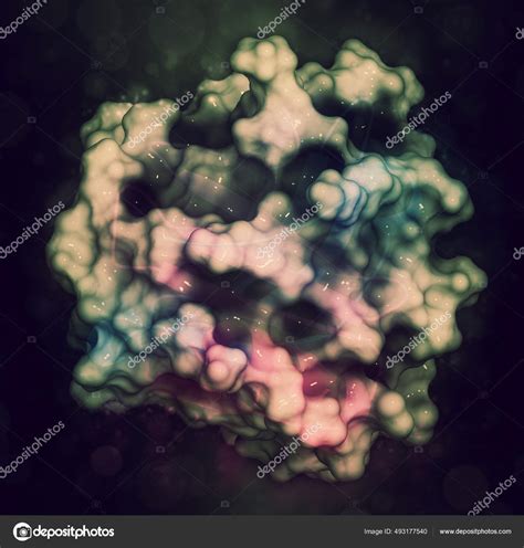 Bovine Beta Lactoglobulin Protein Structure Major Whey Protein Present ...