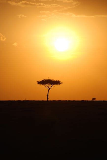 Free stock photo of africa, Kenya, safari