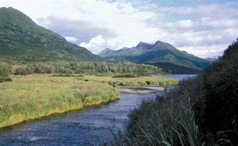 Reconnecting With Nature: Alaska's Grizzly Gauntlet from National ...