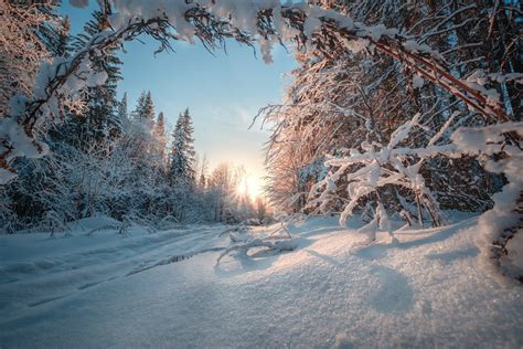 snow, Winter, Nature, Landscape Wallpapers HD / Desktop and Mobile Backgrounds