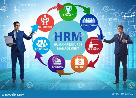 HRM - Human Resource Management Concept with Businessman Stock Illustration - Illustration of ...