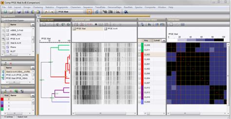 Pulsed-field gel electrophoresis (PFGE) typing | Applied Maths