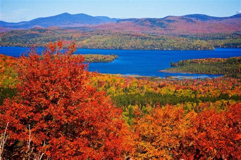 maine foliage. Oh how I loved seeing the colors this fall 2013 | Maine in the fall, Maine travel ...