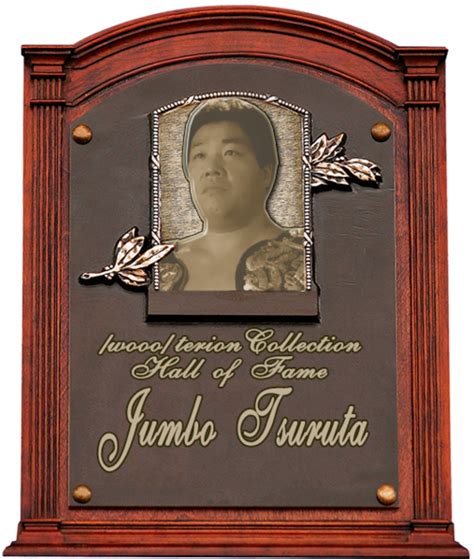 Wrestler Profile #48: Jumbo Tsuruta