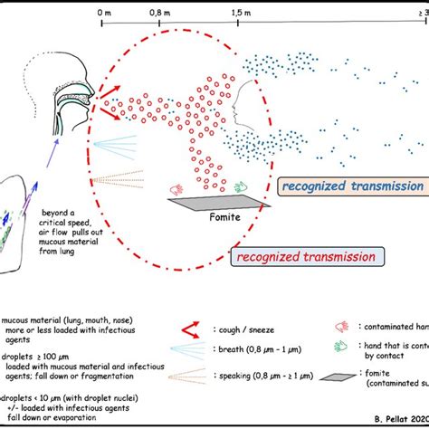 Aerosolization mechanisms of oral and nasal fluids. | Download ...