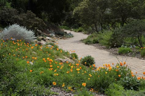 Santa Barbara Botanic Gardens | Outdoor Project