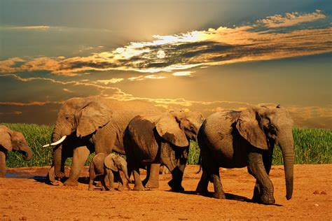 #Africa is an incredible continent, with majestic landscapes ...