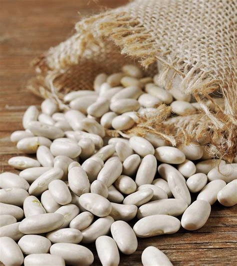 7 Benefits Of Navy Beans + How To Cook Them