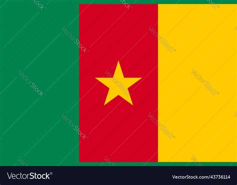 Flag of cameroon official colors flat Royalty Free Vector