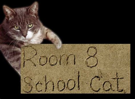 Explore Historic California--May 2008 Room 8, the Most Famous Cat in Los Angeles